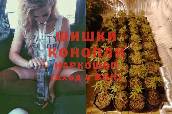 ГАЛЛЮЦИНОГЕННЫЕ ГРИБЫ Алексеевка
