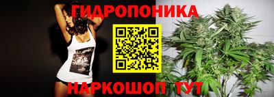 ПСИЛОЦИБИНОВЫЕ ГРИБЫ Гатчина