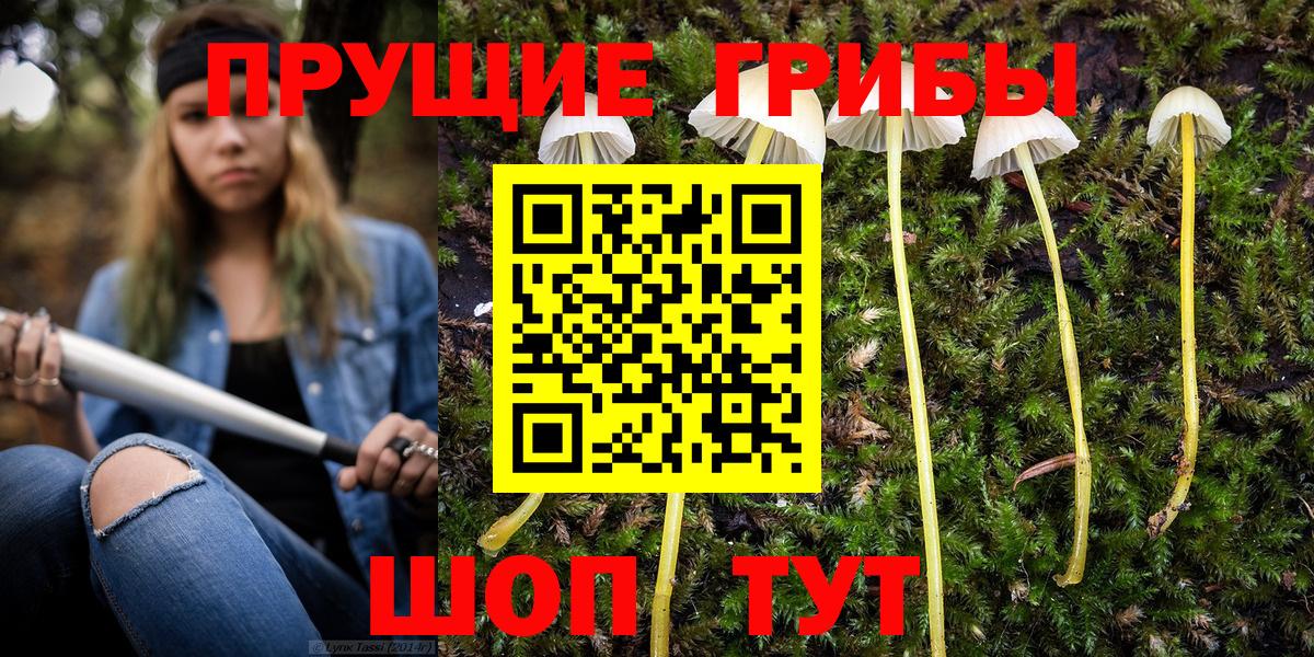 Псилоцибиновые грибы Magic Shrooms Старая Русса
