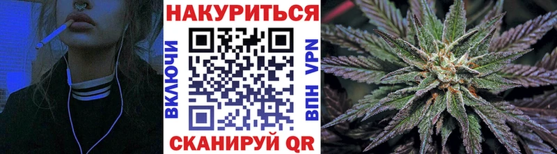 где найти наркотики  Старая Русса  Бошки Шишки OG Kush 
